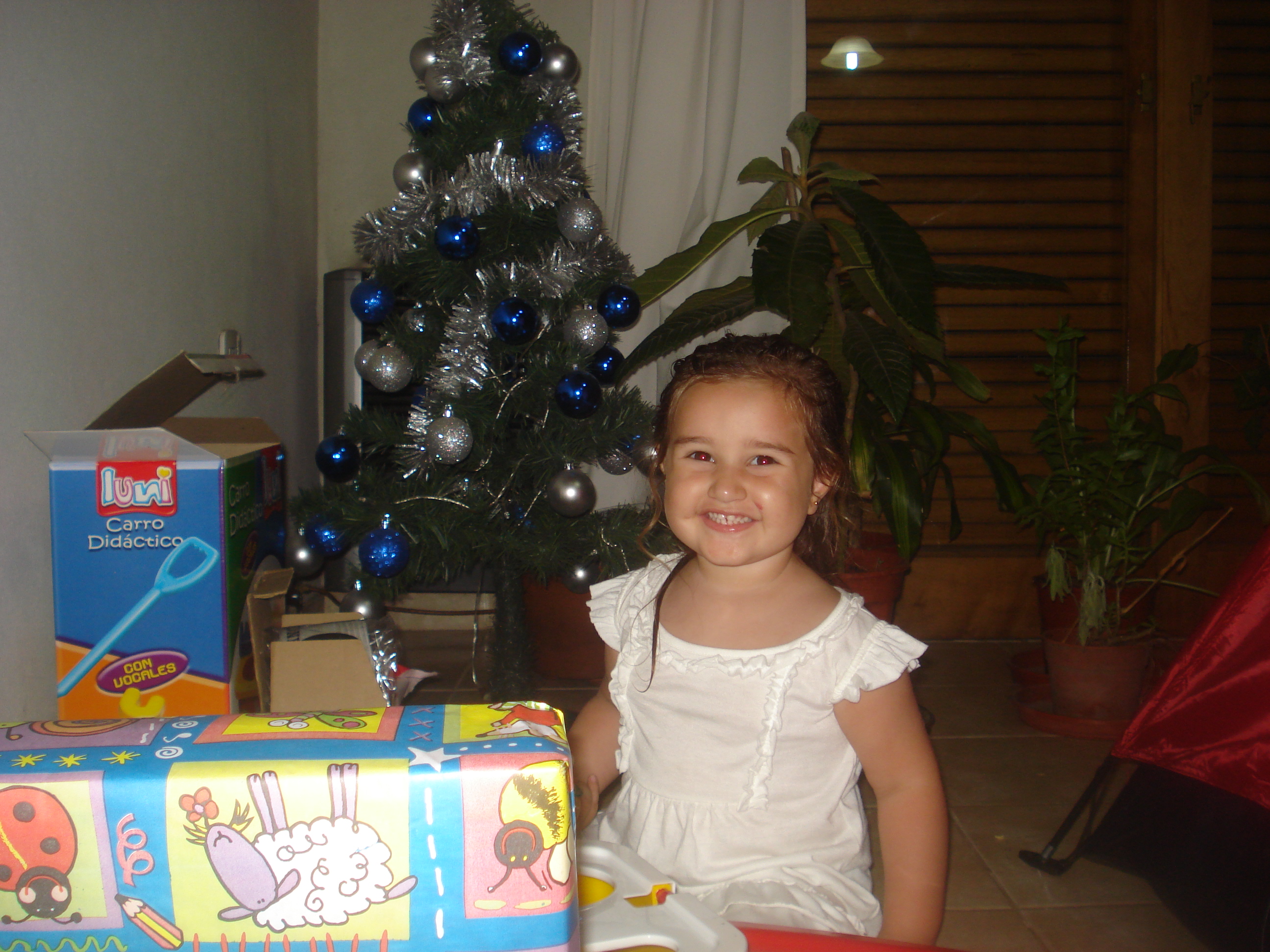 fotos/2012-12-24 - Navidad y pileta/DSC05096.JPG